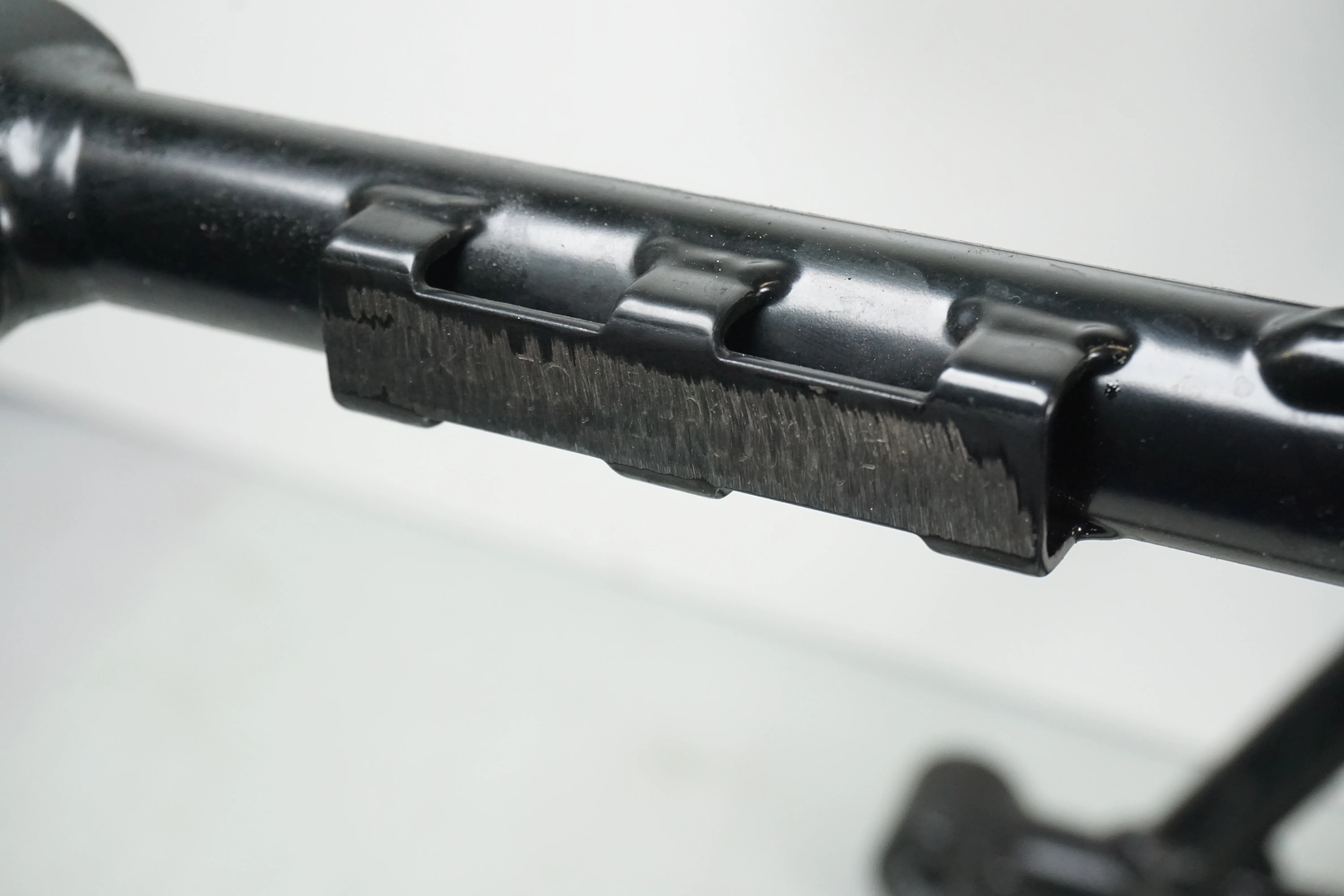 Ram - Image 2