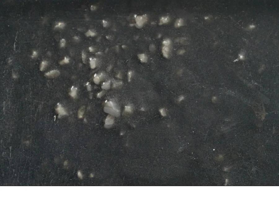 CDI / ECU - Image 8