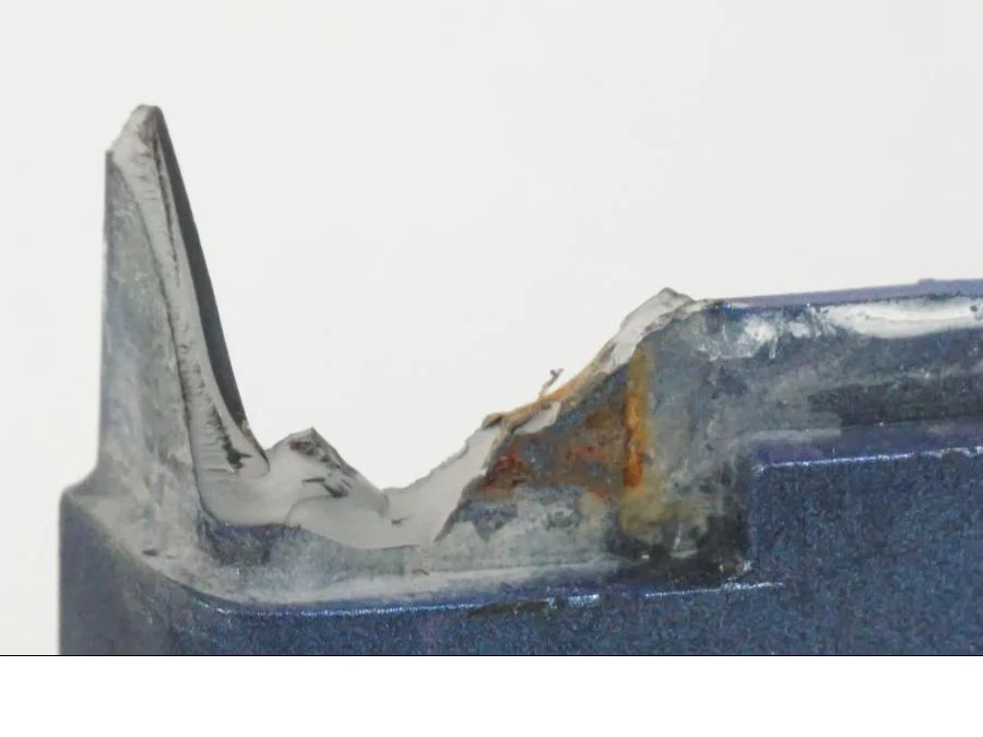 Bakvinge - Image 11