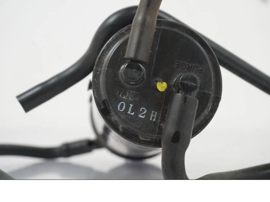 Fuel Evap System - Image 6