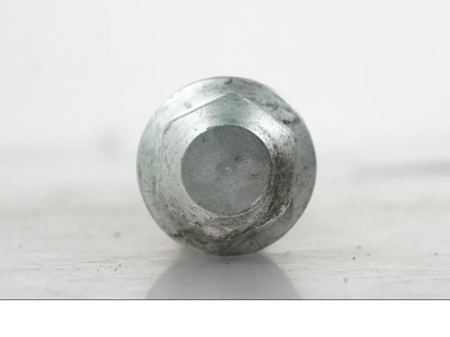 Axel - Image 3
