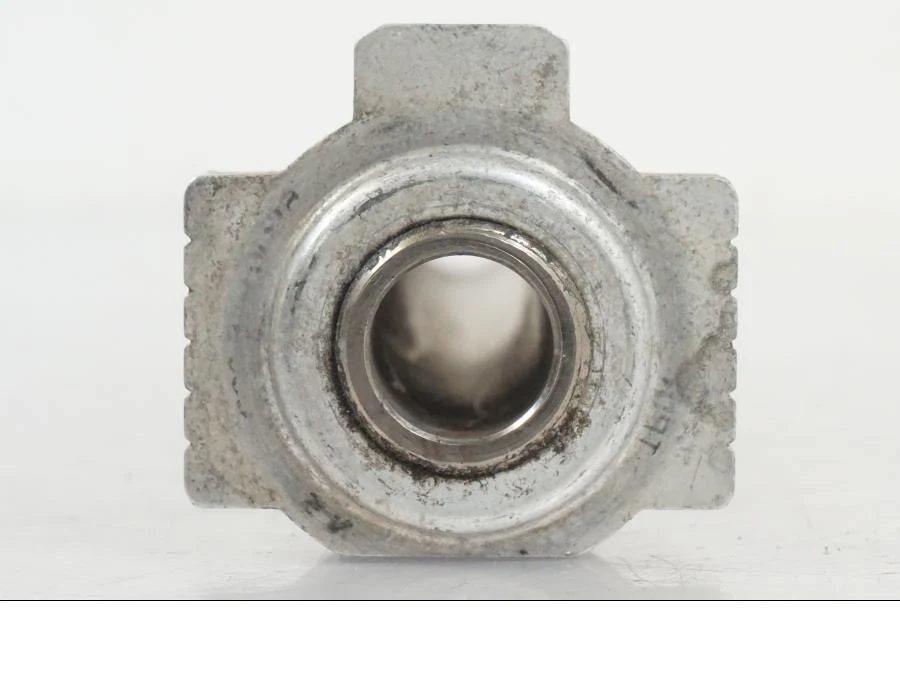 Axel - Image 3