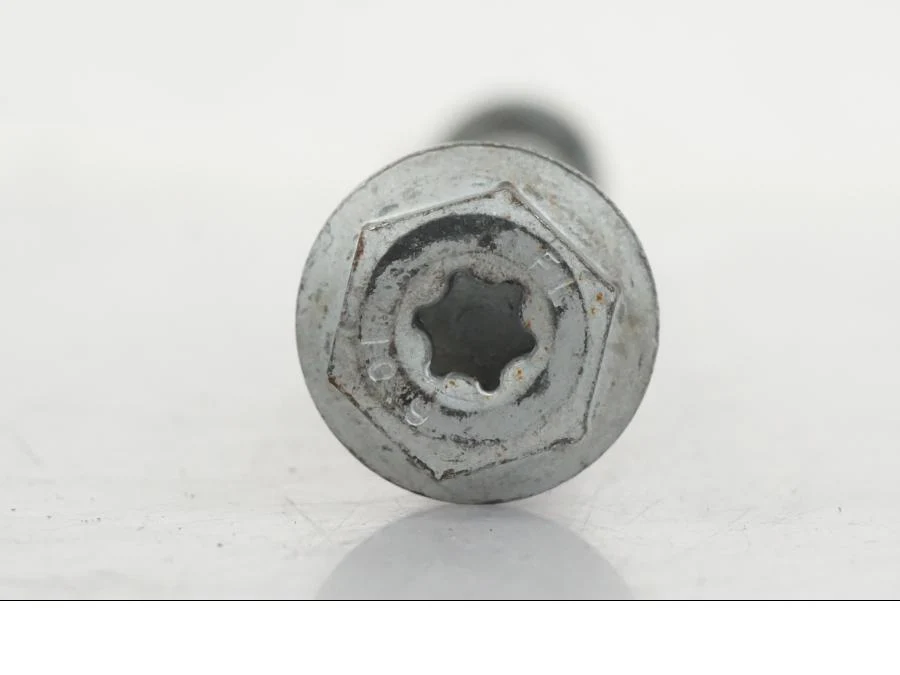 Axel - Image 3