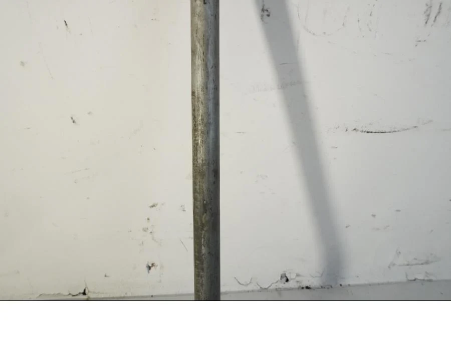 Axel - Image 3