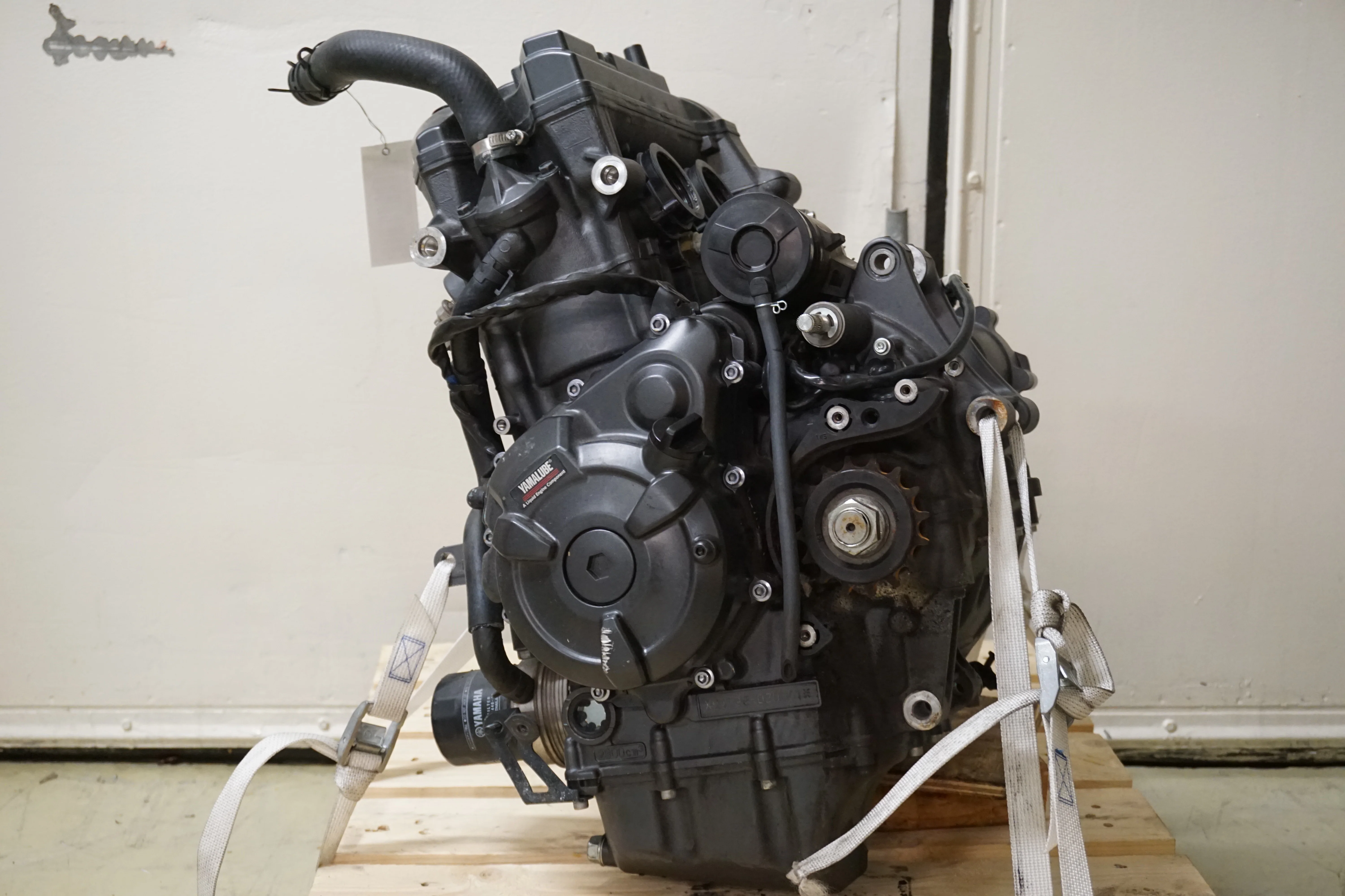 Motor