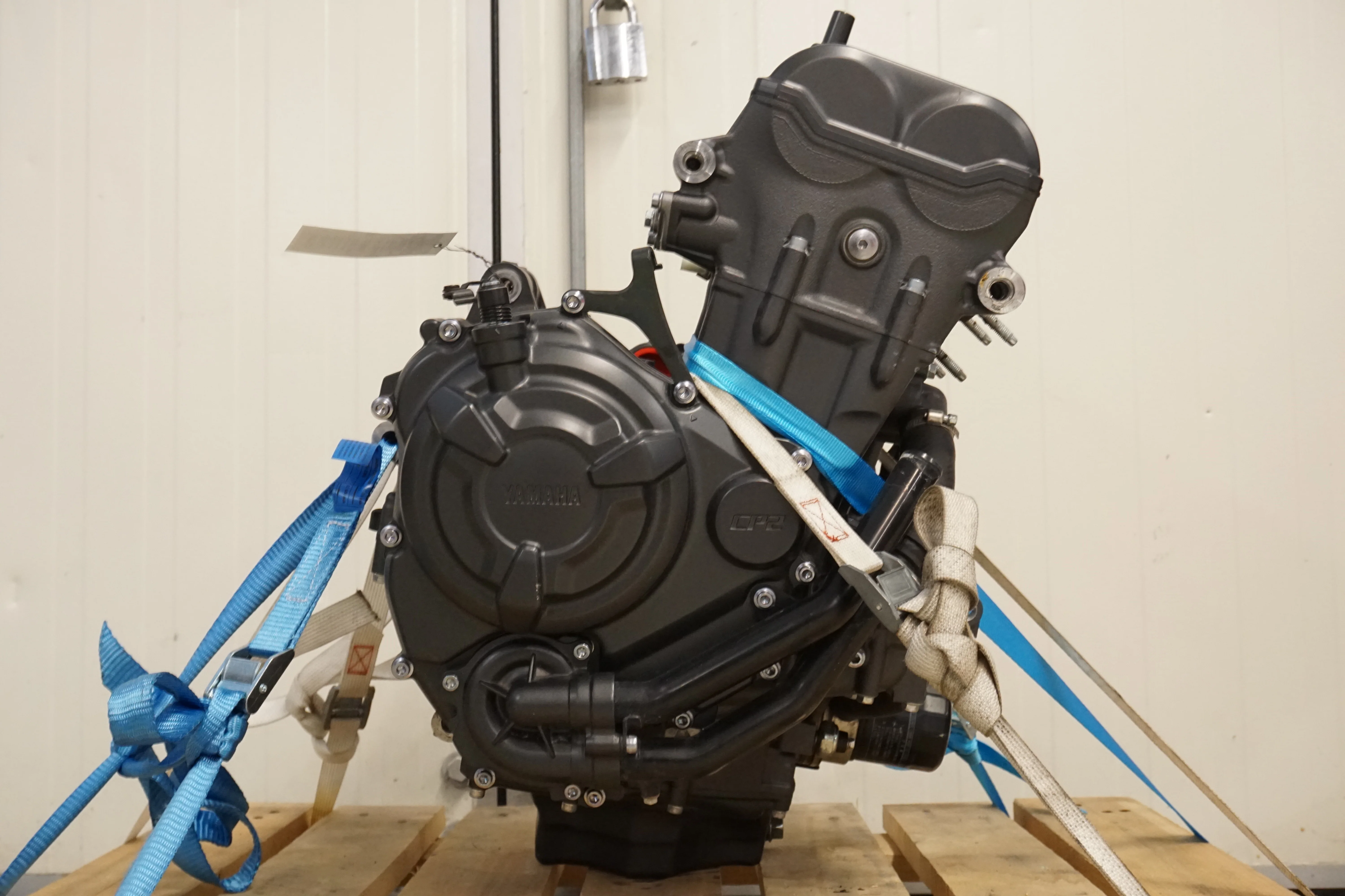 Motor