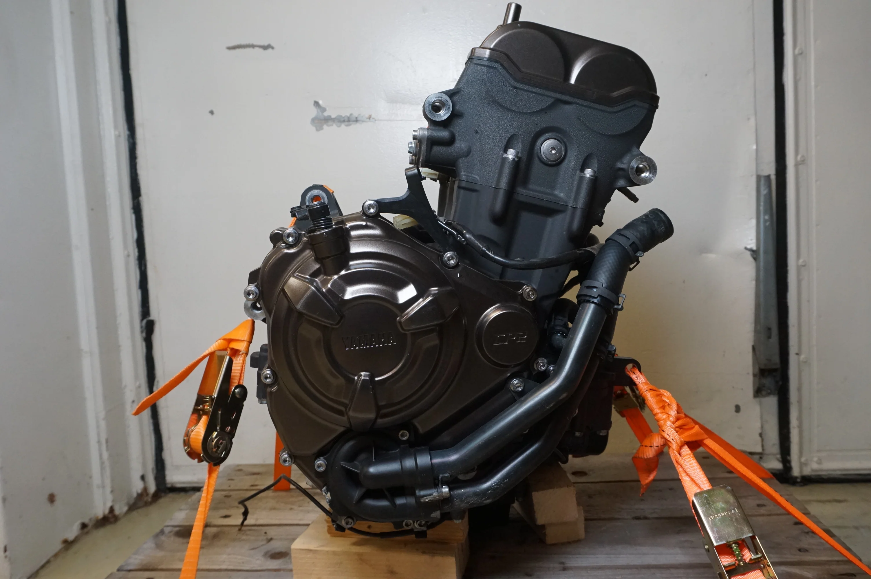 Motor