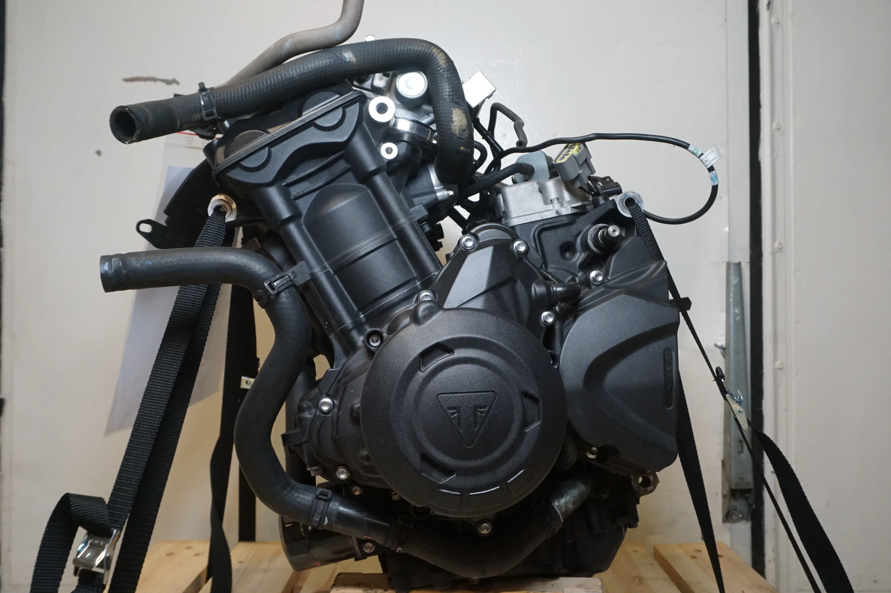Motor