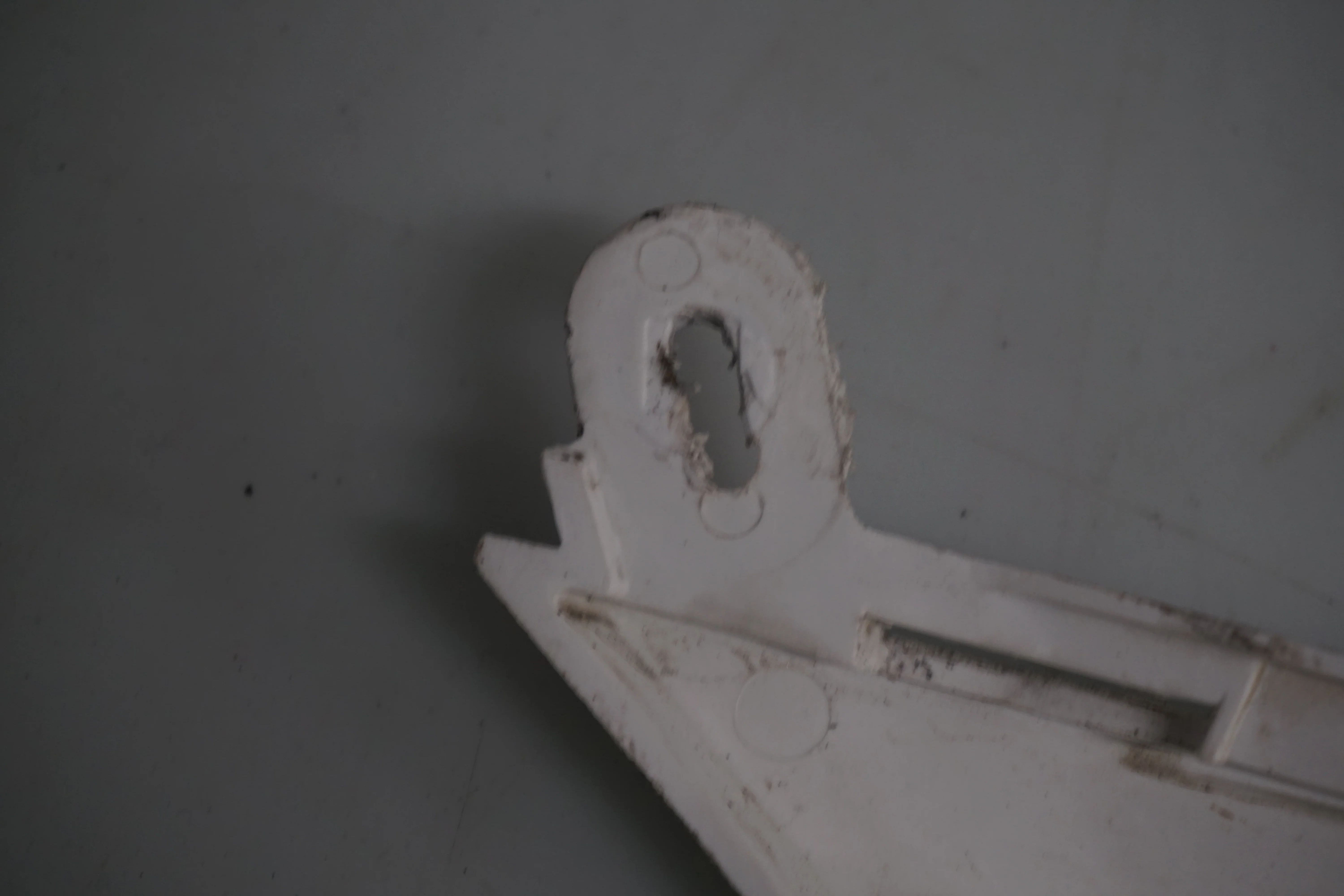 Bakvinge - Image 7
