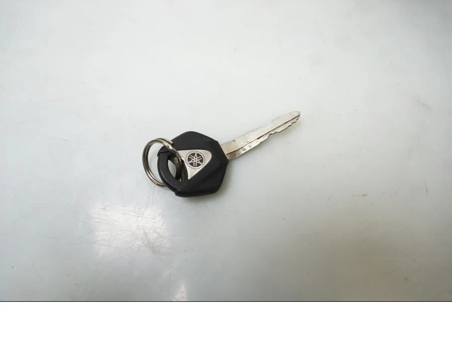 CDI / ECU - Image 4
