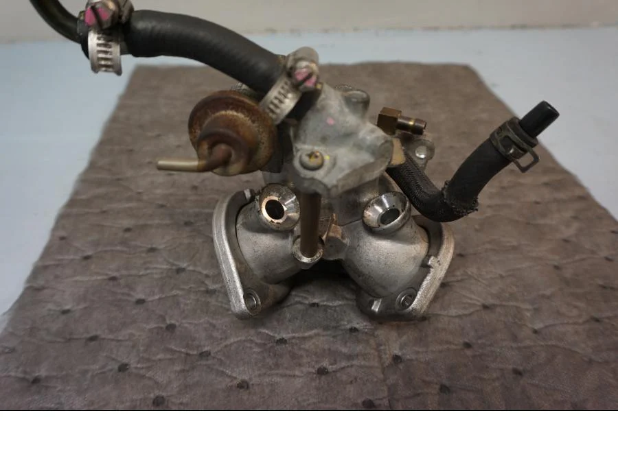 Insug - Image 3