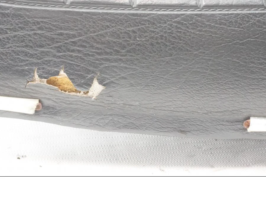 Sadel - Image 7
