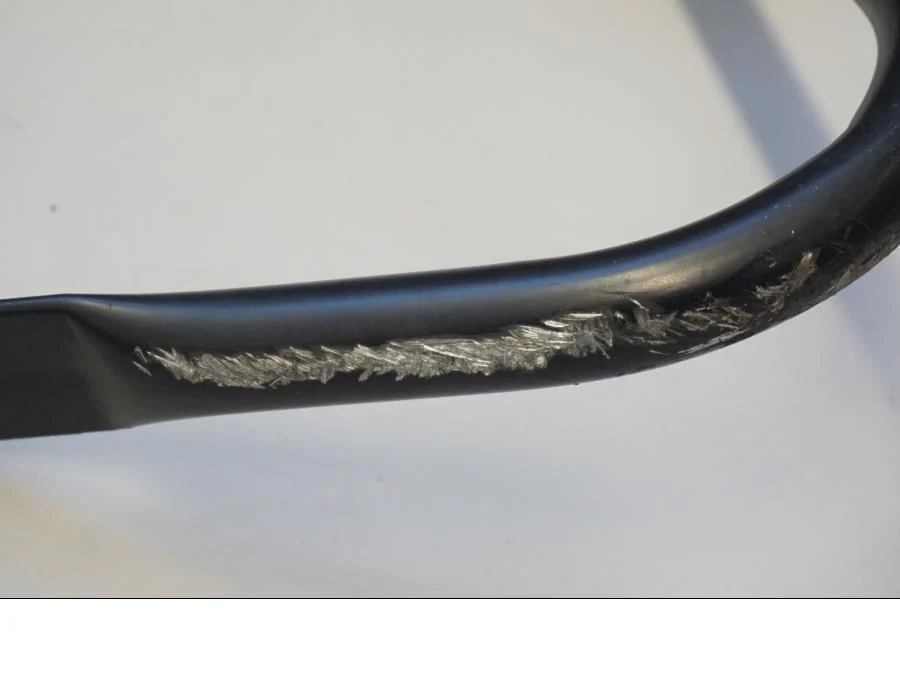 Stag - Image 3